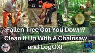 Best Way To Remove a Fallen Tree With Your Chainsaw and a LogOX [upl. by Watts767]