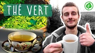 Le THÉ VERT  Boisson Miracle  Bienfaits amp Vertus [upl. by Matejka481]