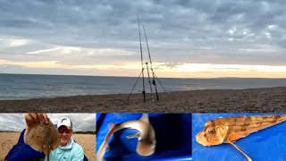 Fishing at Cogden Chesil Beach day 3  4924 [upl. by Edieh]