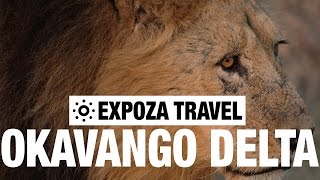 Okavango Delta Vacation Travel Video Guide [upl. by Aeneg]