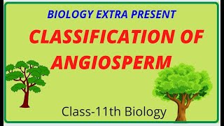 Classification of Angiosperm [upl. by Amsaj]