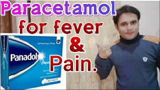 Paracetamol tablets  Paracetamol tablets ip 500mg  uses in hindiurdu [upl. by Yenaj]