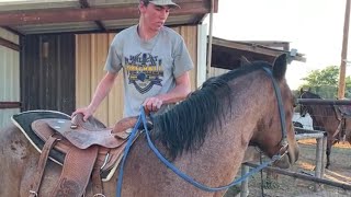 Horse Training  First Ride First Mount [upl. by Aihsyt]