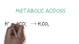 Bicarbonate  The Primary Buffer [upl. by Eahc633]