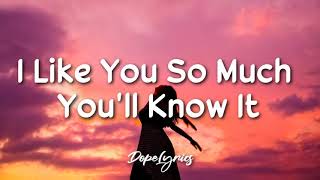 I Like You So Much Youll Know It  Ysabelle Cuevas Lyrics [upl. by Ilarrold]