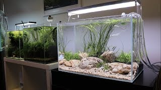 River Bottom Aquascape Tutorial  Easy Aquascape added to the Aquarium Gardens Showroom [upl. by Ollecram]