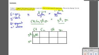 Epistasis Sample problem 2 [upl. by Ahsinyar456]