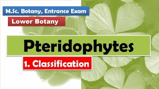 Classification  Pteridophytes [upl. by Tirrell]