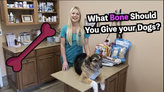 What Bones Can you Give your Dog  DOG BONES [upl. by Alel]