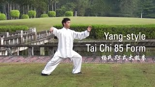 YangStyle Tai Chi 85 Form  Part 1 杨氏85式太极拳 [upl. by Are]