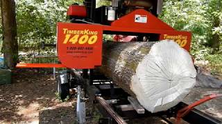 Quarter Sawn Oak on a Timberking 1400 [upl. by Podvin]