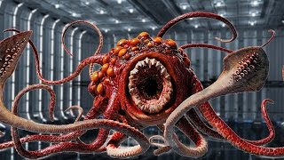 10 Weirdest CREATURES in STAR WARS [upl. by Sopher]