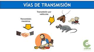 Microbiología de los Alimentos Parte 1 [upl. by Mungam942]