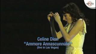 CELINE DION canta in Napoletano  AMMORE ANNASCUNNUTO Live in Las Vegas [upl. by Tice]