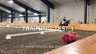 USDF Training Level Test 1 With Judges Scores amp Comments [upl. by Yzzo]