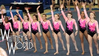 Whitney Bjerken  5th Level 8 Gymnastics Meet  New Team [upl. by Nerraw753]