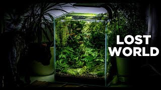 My LostWorld nano tank  The ultimate nature aquarium for beginners [upl. by Awjan917]