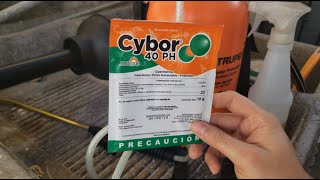 COMO FUMIGAR TU CASA EN 5 MINUTOS CONTRA CUCARACHAS  RESULTADOS [upl. by Anovahs]