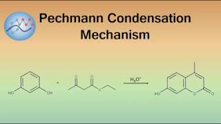 Pechmann Condensation Mechanism Coumarin Synthesis  Organic Chemistry [upl. by Javier470]