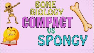 Bone Biology COMPACT BONE VS SPONGY BONE  EASY FAST REVIEW [upl. by Melitta]