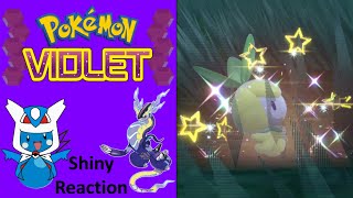 Pokemon Violet Shiny Petilil Reaction [upl. by Ariom]