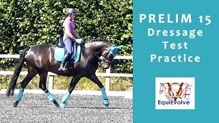 Prelim 4 2008 Prelim 15 Dressage Test Learning Tool [upl. by Anayrb]