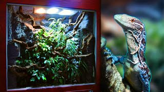 How I made a Huge Reptile Vivarium – Full Build [upl. by Goeger]