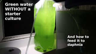 Green Water WITHOUT a Starter Culture  From Scratch  How To [upl. by Teryl]