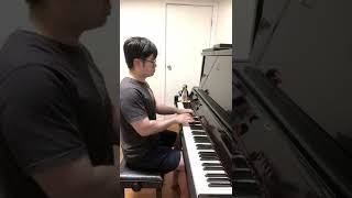 THE CRUSH SONG ON PIANO [upl. by Norreht]