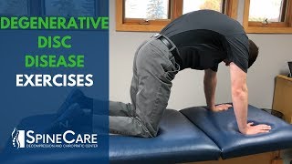 Degenerative Disc Disease Exercises  SpineCare St Joseph MI Chiropractic [upl. by Mcilroy]