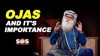 What is Ojas amp Its Significance in Our Life  Sadhguru Explains [upl. by Jaworski]