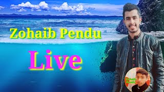 Zohaib Pendu Gaming Live Stream [upl. by Atteynot]