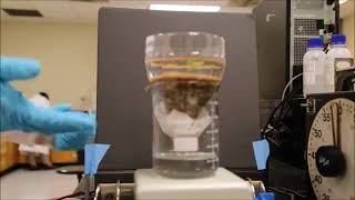 Water Purification Through Coagulation  DEMO [upl. by Swirsky]