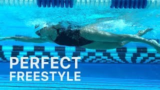 How To Swim Freestyle With Perfect Technique [upl. by Ennalorac]