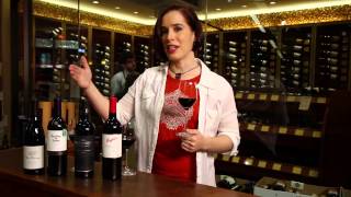 Pinot Noir Merlot Cabernet Sauvignon Shiraz Syrah  Red Wine Guide [upl. by Nerak747]