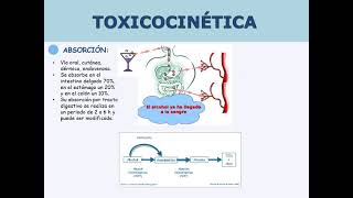 Toxicología y tratamiento de alcohol UNSAAC [upl. by Hatcher]