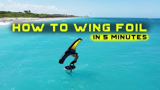 How to WING FOIL in 5 minutes [upl. by Eked]