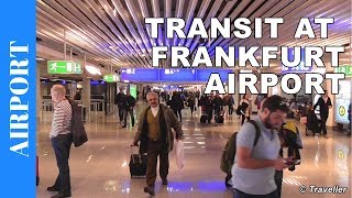 TRANSIT WALK AT FRANKFURT Airport FRA Terminal 1  Connection Flight Transfer Arriving amp Departing [upl. by Etnor]