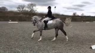 Prelim 7 Dressage Test [upl. by Hugh]