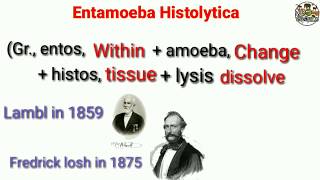 Entamoeba histolytica  Morphology Life Cycle Classification NOTES [upl. by Lauralee600]