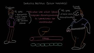 Diyabet Şeker Hastalığı Nedir Fen Bilimleri Sağlık ve Tıp [upl. by Ahsauqal]