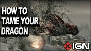 Skyrim Console Commands Full List and Usefull Ones PC Only [upl. by Sergio]