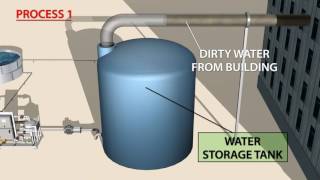 GWT Electrocoagulation Wastewater Treatment Systems Video [upl. by Ettelimay]