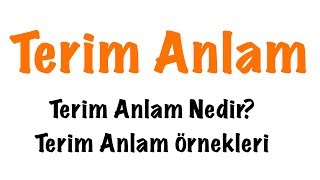 Terim Anlam Nedir Terim Anlam Konu Anlatımı [upl. by Jillie]