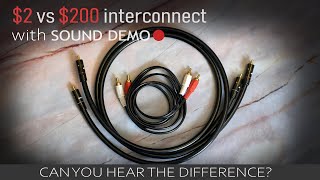 Cheap vs Expensive Interconnect Cable with SOUND DEMO [upl. by Farland261]