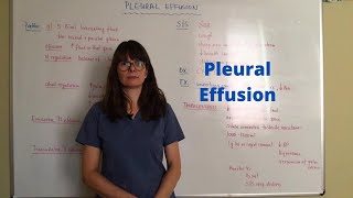 Pleural effusion [upl. by Tnilf]