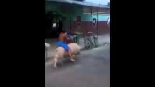 Real life Hog Rider shorts [upl. by Nollaf]